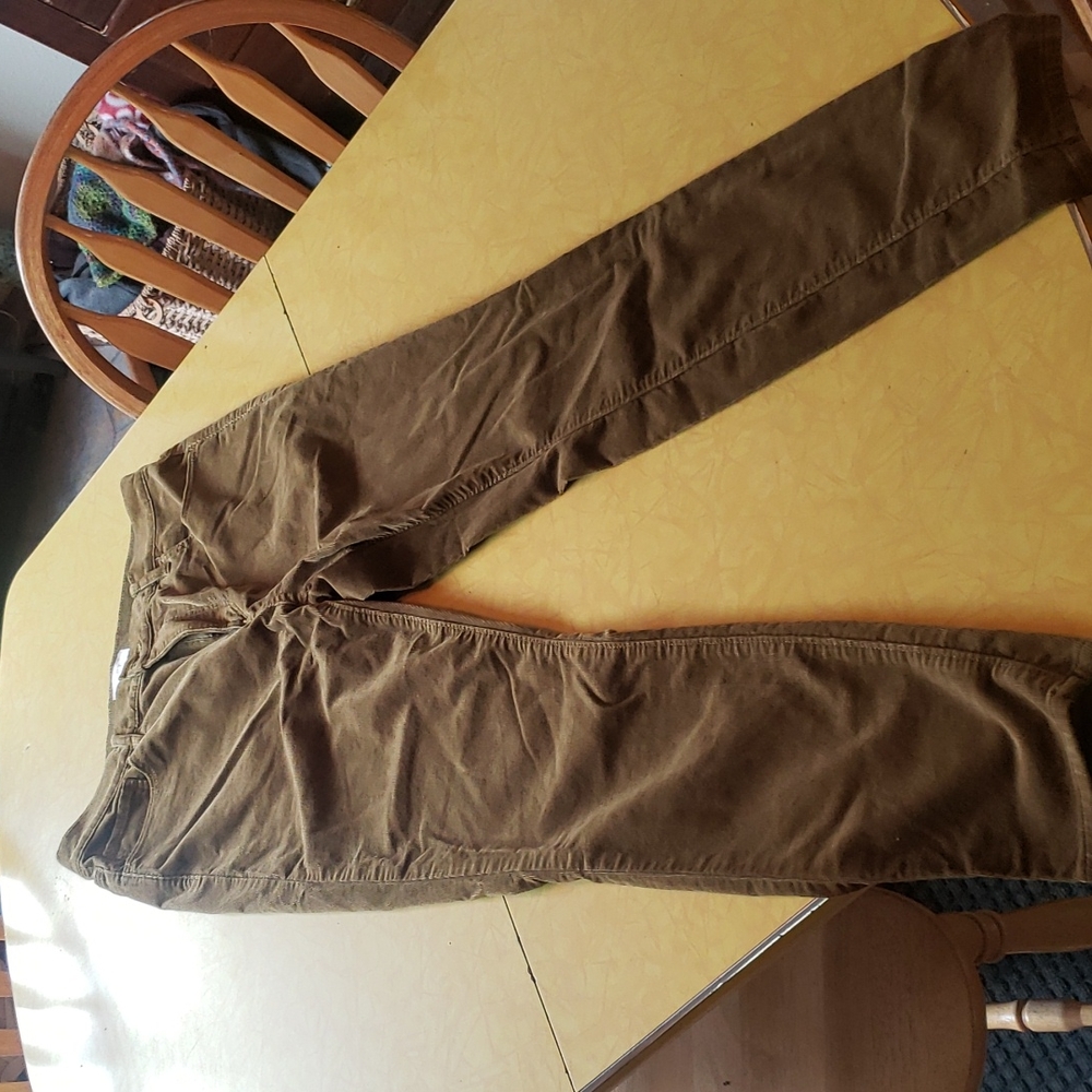 Ann Taylor Loft Courderoy Pants